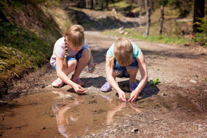 ‘Verbeter Zwols natuurbeleid met vaart’