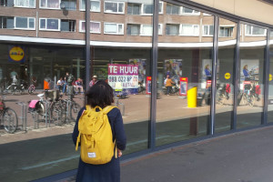 PvdA vraagt naar mening winkelcentrum Holtenbroek