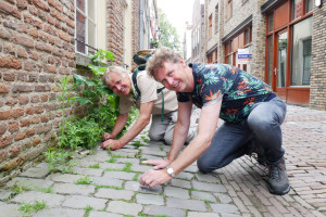 CU en PvdA aan het botanisch stoepkrijten in Zwolle