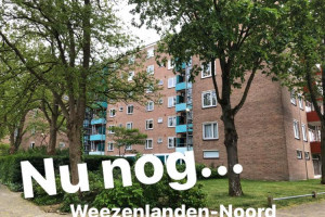 Bijdrage Weezenlanden-Noord