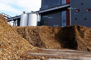 Biomassa, een duurzame bron?