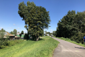 Bouwen in uiterwaarden, zoals bij Zwartwaterzone, is anno nu onbegrijpelijk